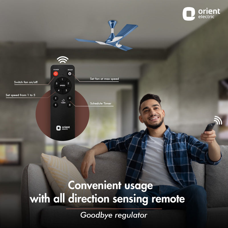 Wendy BLDC Remote Ceiling Fan | 3-Year Warranty