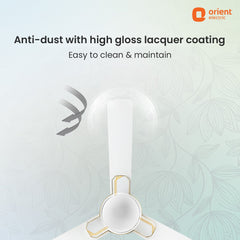 Mozart Minimalist Designer Ceiling Fan