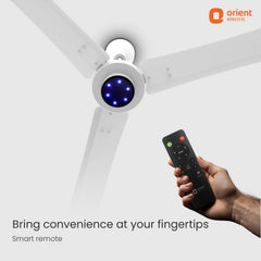 I Tome Pro BLDC Ceiling Fan