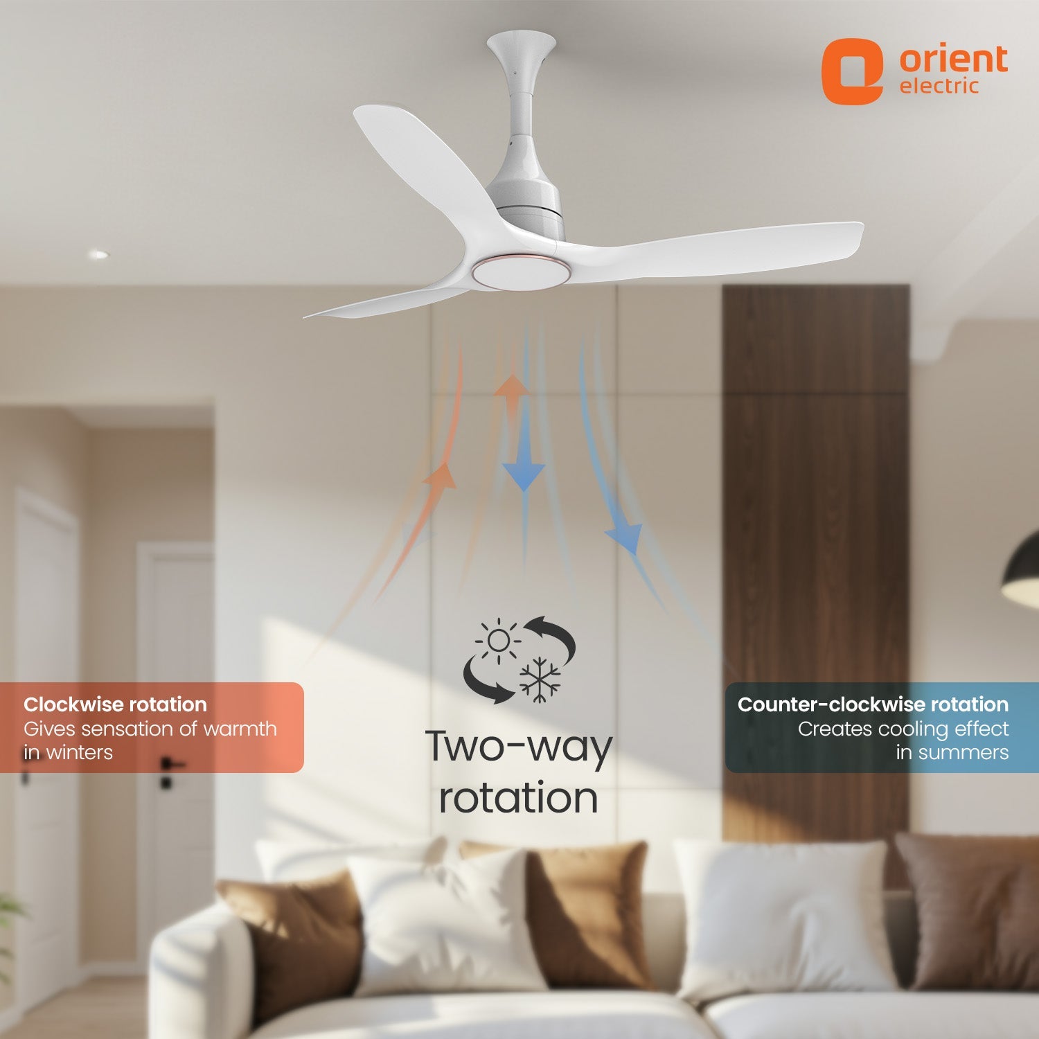 Aerosense Smart BLDC Ceiling Fan | 5 Year Warranty