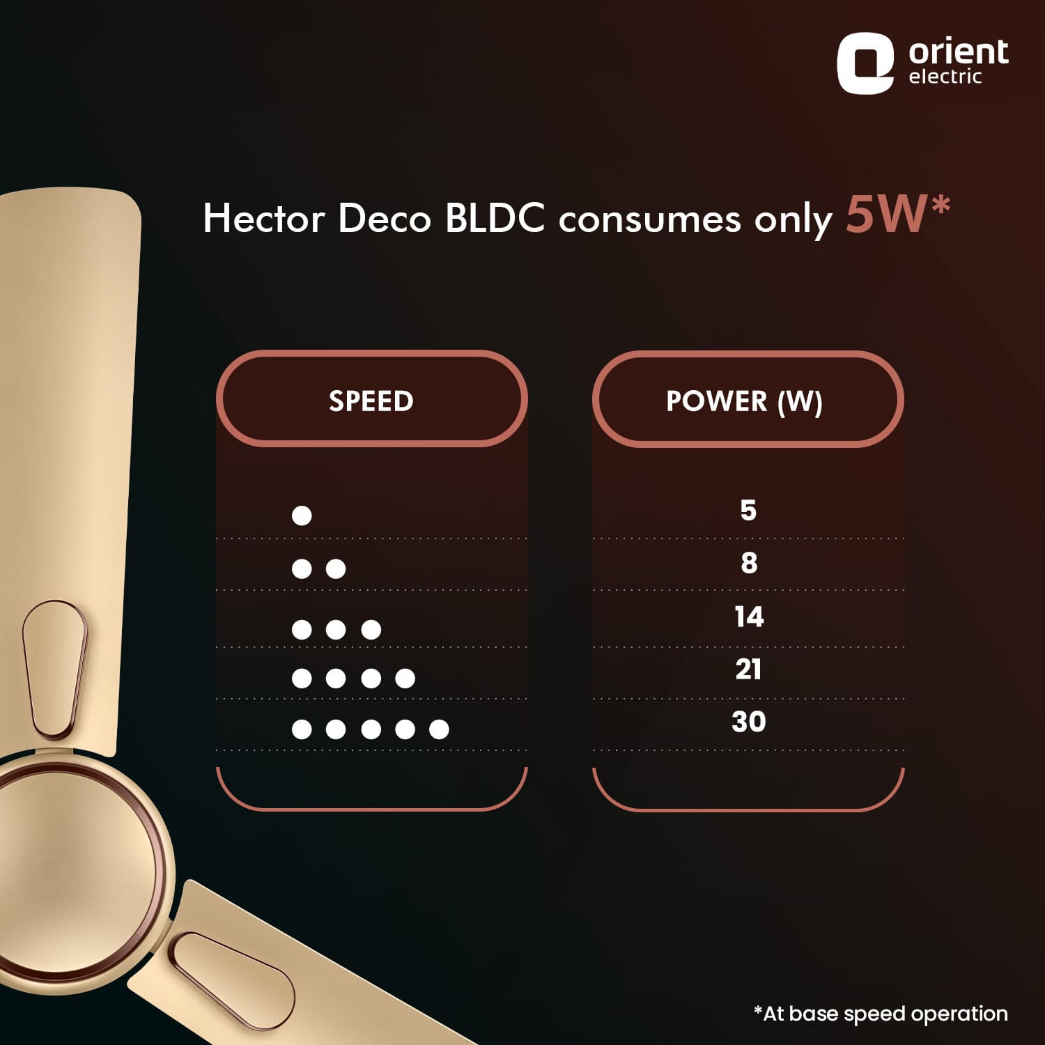 Hector Deco BLDC Ceiling Fan with Remote