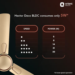Hector Deco BLDC Ceiling Fan with Remote