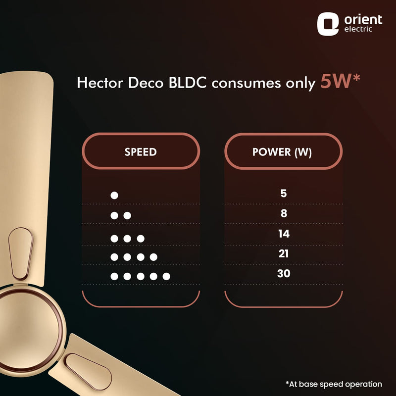 Hector Deco BLDC Ceiling Fan with Remote