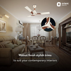 Wendy Stylish Ceiling Fan | 2-Year Warranty