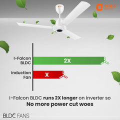 I-Falcon BLDC Ceiling Fan With Light & Remote