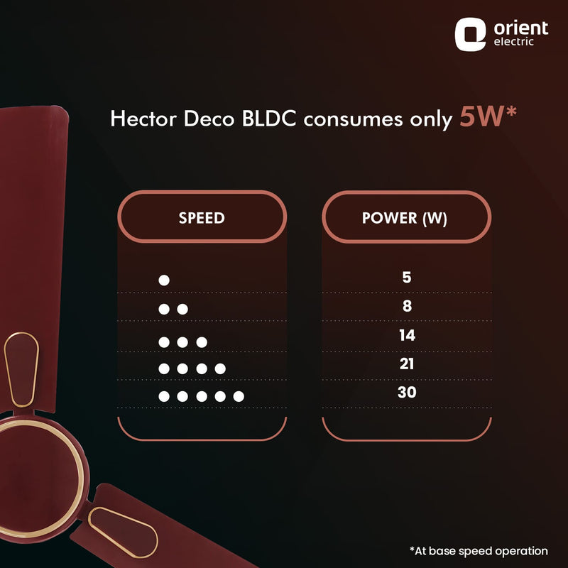 Hector Deco BLDC Ceiling Fan with Remote