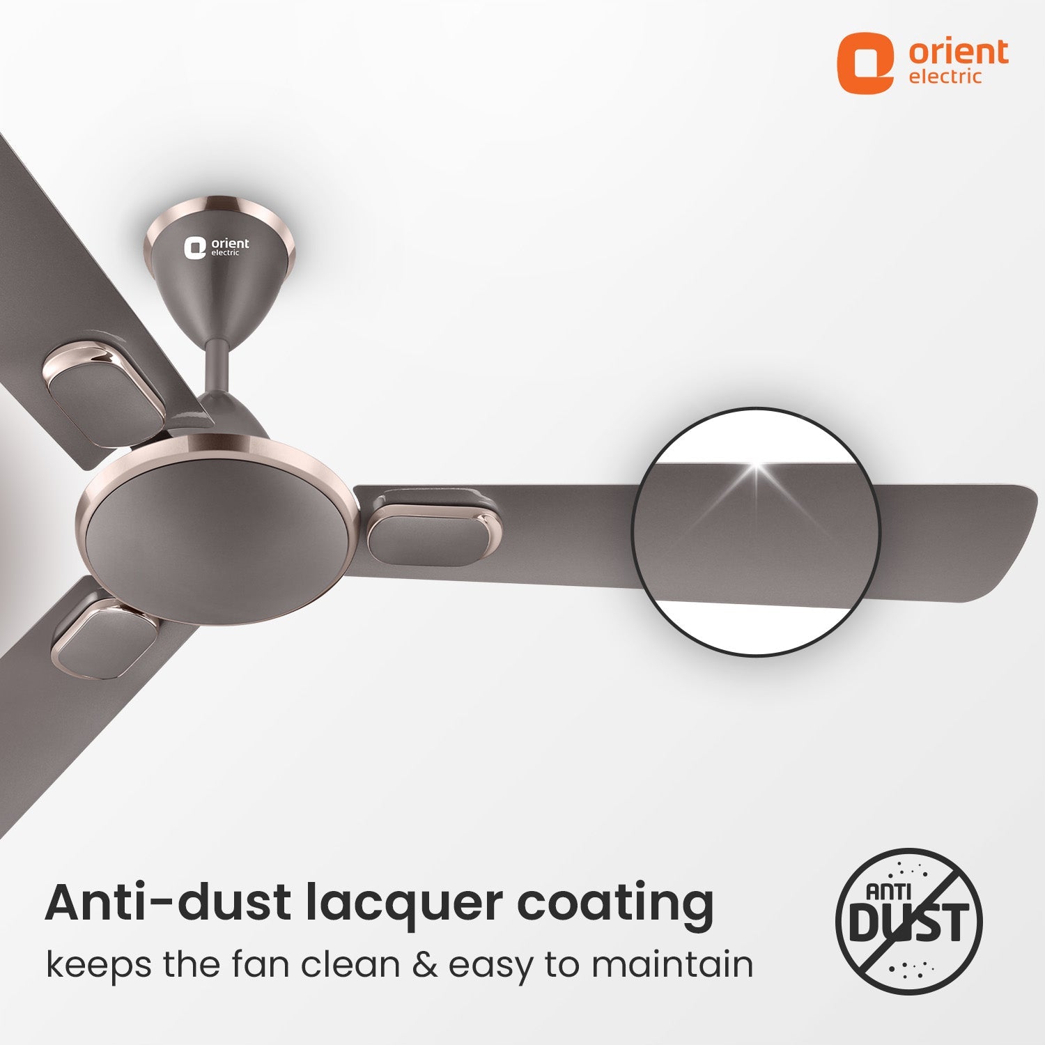 Blanco Decorative Ceiling Fan | 2-Year Warranty