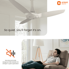 Aeroquiet Neu BLDC Pro Ceiling Fan | Whisper Quiet | Remote Controlled