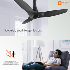 Aeroquiet Neu BLDC Pro Ceiling Fan | Whisper Quiet | Remote Controlled