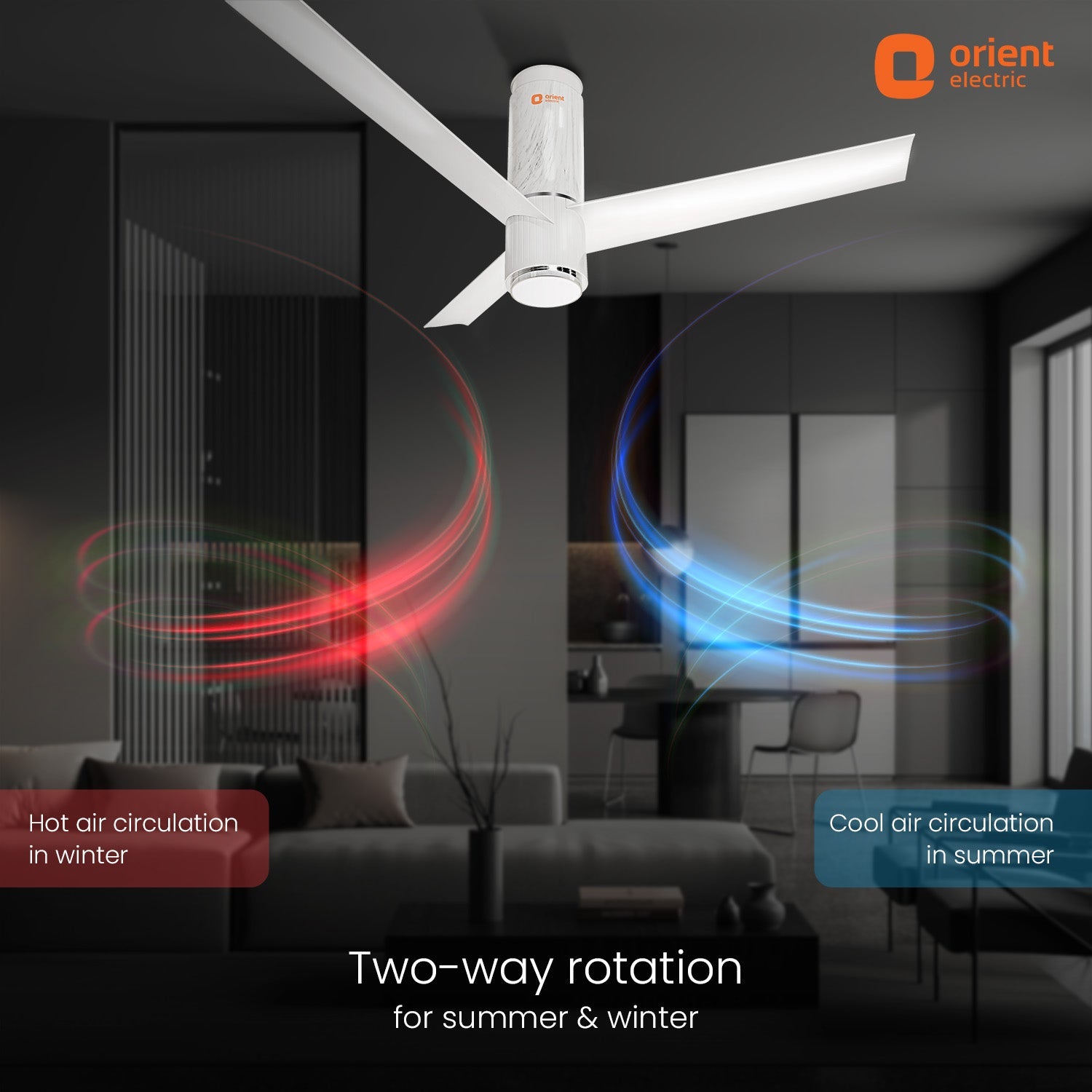 Aeroslim IoT Remote Fan with Light | 5-Year Warranty