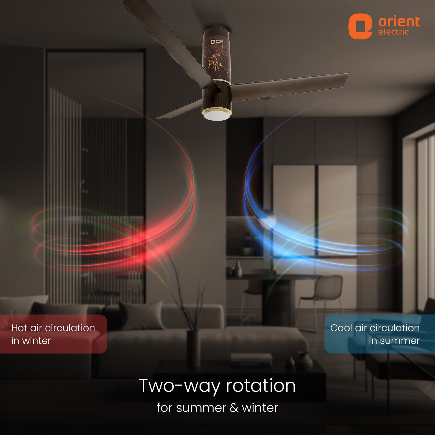 Aeroslim IoT Remote Fan with Light | 5-Year Warranty