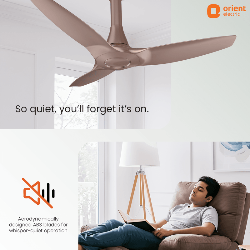 Aeroquiet Neu BLDC Pro Ceiling Fan | Whisper Quiet | Remote Controlled
