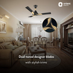 Wendy Stylish Ceiling Fan | 2-Year Warranty