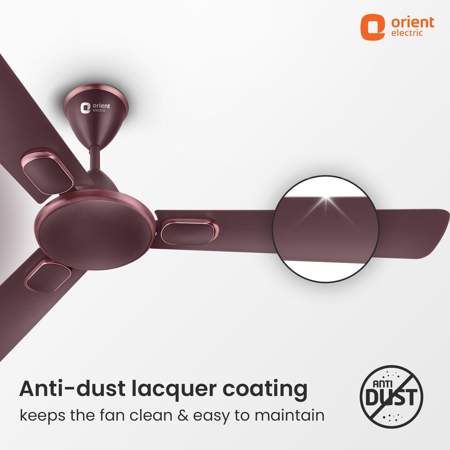 Blanco Decorative Ceiling Fan | 2-Year Warranty