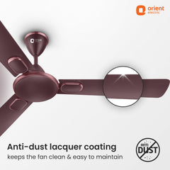 Blanco Decorative Ceiling Fan | 2-Year Warranty