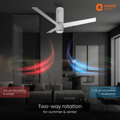 Aeroslim IoT Remote Fan with Light | 5-Year Warranty
