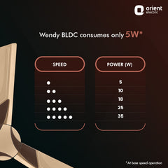 Wendy BLDC Remote Ceiling Fan | 3-Year Warranty