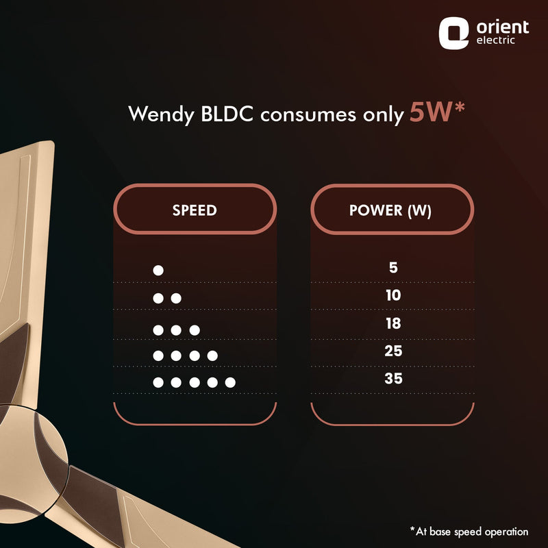 Wendy BLDC Remote Ceiling Fan | 3-Year Warranty