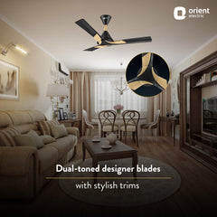 Wendy Stylish Ceiling Fan | 2-Year Warranty