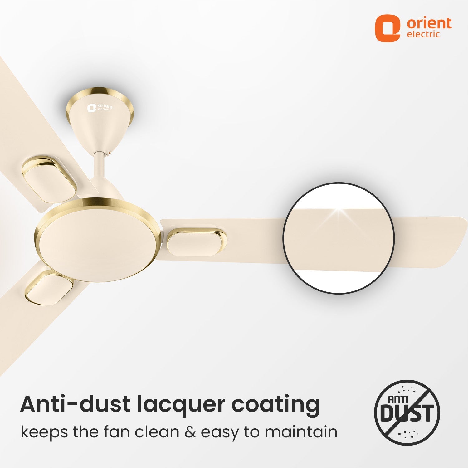 Blanco Decorative Ceiling Fan | 2-Year Warranty