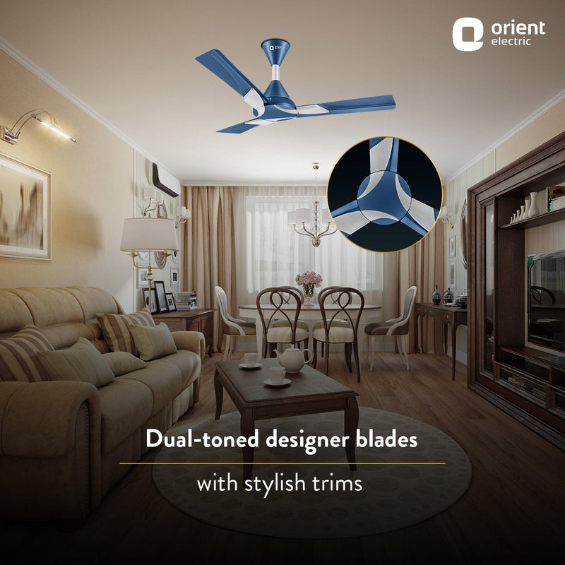 Wendy Stylish Ceiling Fan | 2-Year Warranty