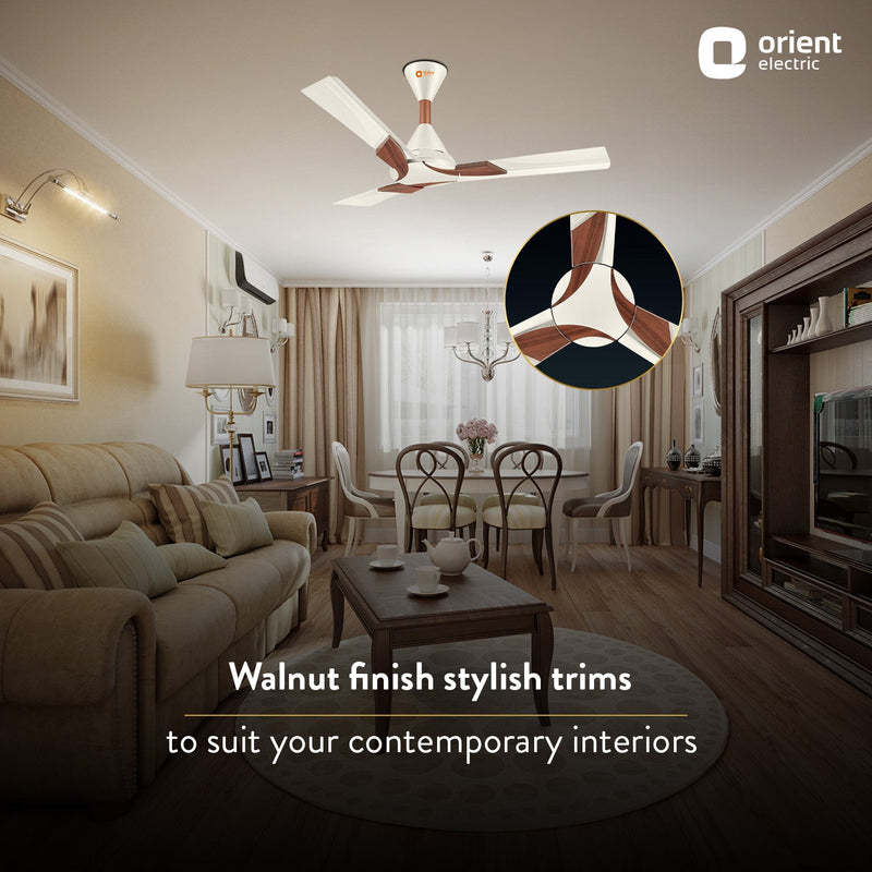 Wendy Stylish Ceiling Fan | 2-Year Warranty