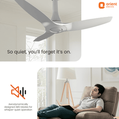 Aeroquiet Neu BLDC Pro Ceiling Fan | Whisper Quiet | Remote Controlled