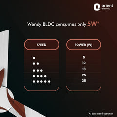 Wendy BLDC Remote Ceiling Fan | 3-Year Warranty
