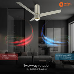 Aeroslim IoT Remote Fan with Light | 5-Year Warranty