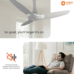 Aeroquiet Neu Noiseless Ceiling Fan