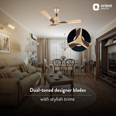 Wendy Stylish Ceiling Fan | 2-Year Warranty