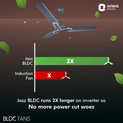 Jazz BLDC Decorative Ceiling Fan