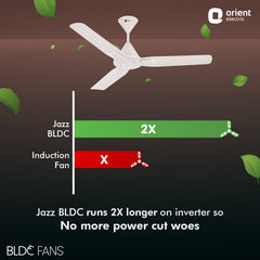 Jazz BLDC Decorative Ceiling Fan