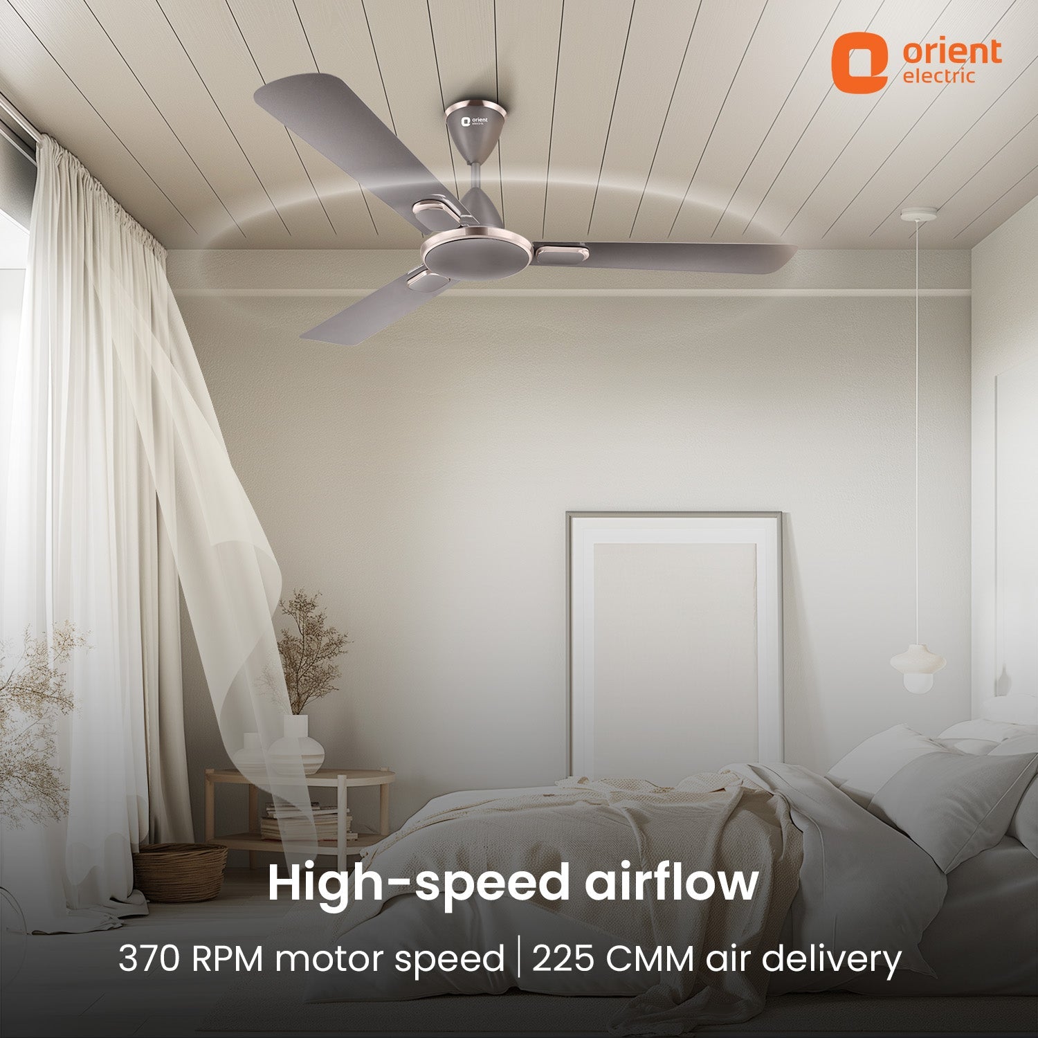 Blanco Decorative Ceiling Fan | 2-Year Warranty