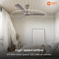 Blanco Decorative Ceiling Fan | 2-Year Warranty