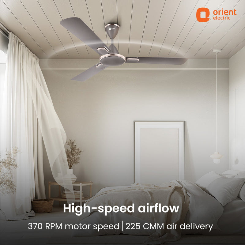 Blanco Decorative Ceiling Fan | 2-Year Warranty
