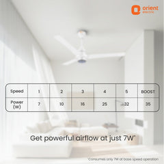 I Tome Pro BLDC Ceiling Fan