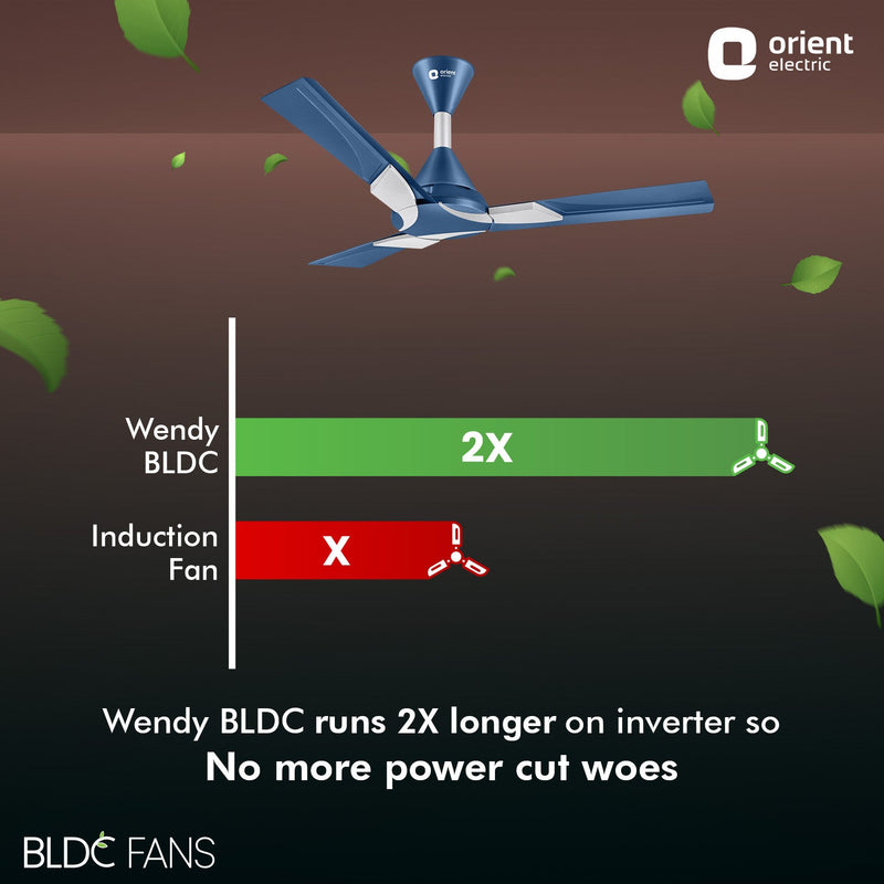 Wendy BLDC Remote Ceiling Fan | 3-Year Warranty