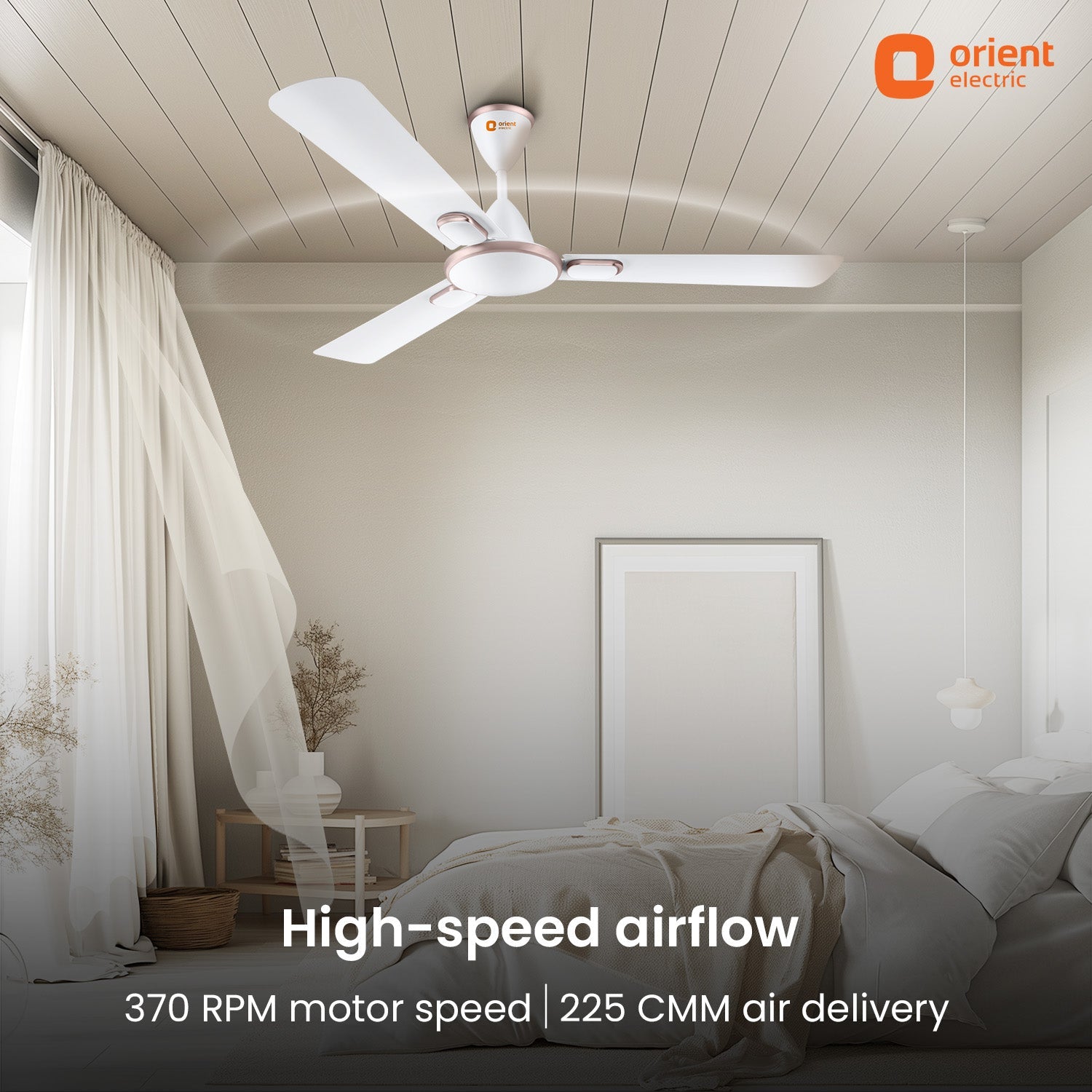 Blanco Decorative Ceiling Fan | 2-Year Warranty