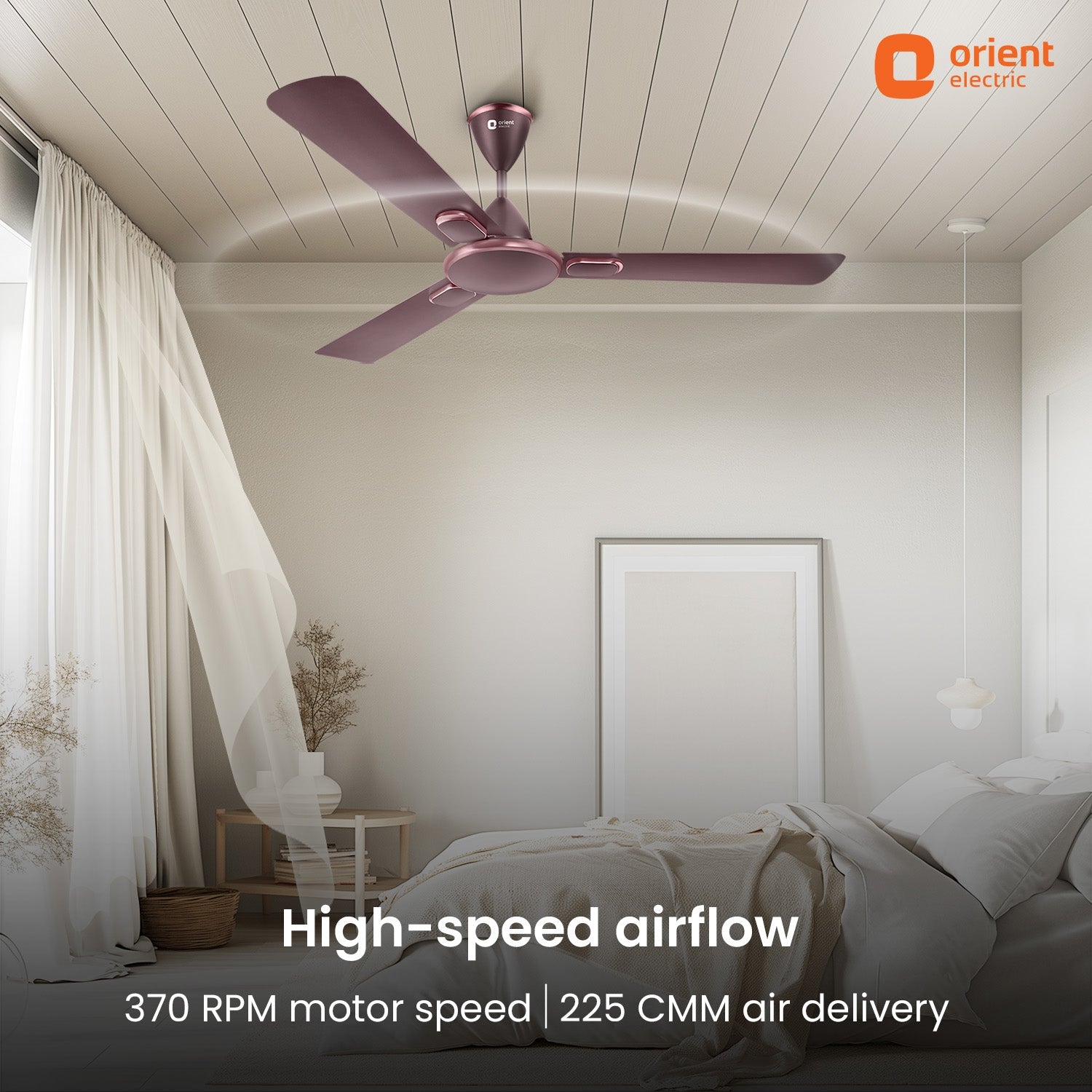Blanco Decorative Ceiling Fan | 2-Year Warranty