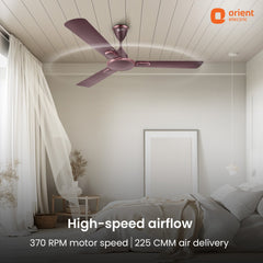 Blanco Decorative Ceiling Fan | 2-Year Warranty