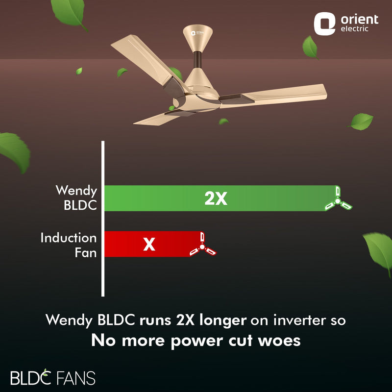 Wendy BLDC Remote Ceiling Fan | 3-Year Warranty