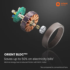 Aeroslim IoT Remote Fan with Light | 5-Year Warranty