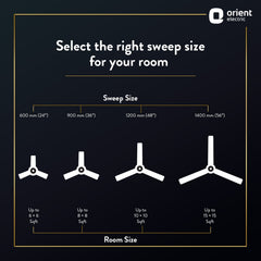 Wendy Stylish Ceiling Fan | 2-Year Warranty