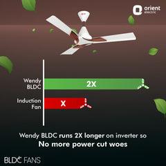 Wendy BLDC Remote Ceiling Fan | 3-Year Warranty