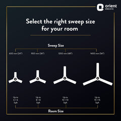 Wendy Stylish Ceiling Fan | 2-Year Warranty