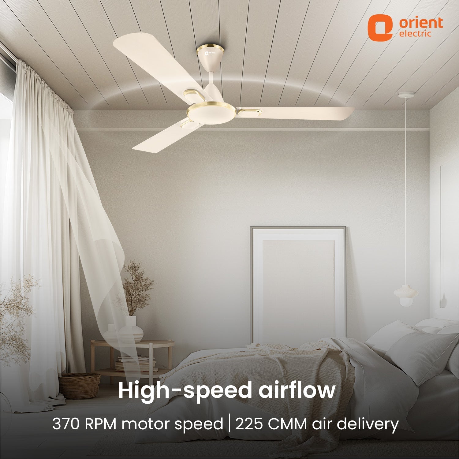 Blanco Decorative Ceiling Fan | 2-Year Warranty