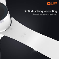 Aeon Antidust BLDC Ceiling Fan |  5-YEAR WARRANTY