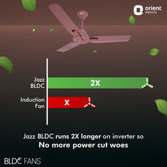 Jazz BLDC Decorative Ceiling Fan