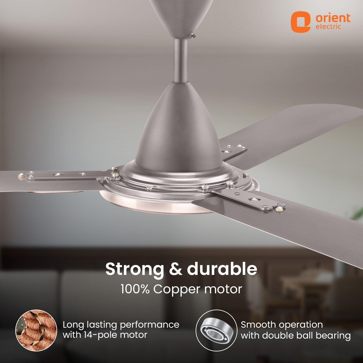 Blanco Decorative Ceiling Fan | 2-Year Warranty